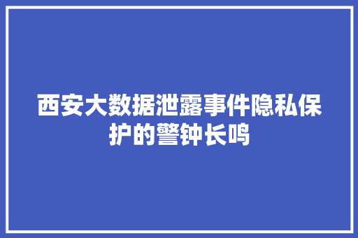 西安大数据泄露事件隐私保护的警钟长鸣 西安大数据泄露事件隐私保护的警钟长鸣