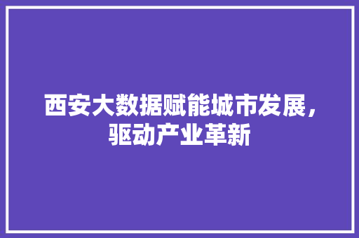 西安大数据赋能城市发展,驱动产业革新 西安大数据赋能城市发展,驱动产业革新