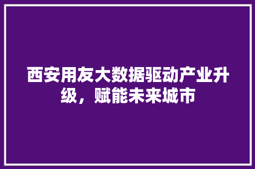 西安用友大数据驱动产业升级，赋能未来城市