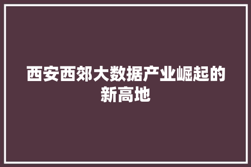 西安西郊大数据产业崛起的新高地