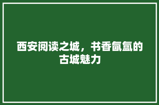 西安阅读之城，书香氤氲的古城魅力