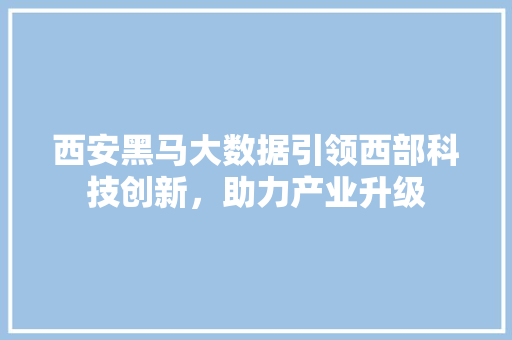 西安黑马大数据引领西部科技创新，助力产业升级
