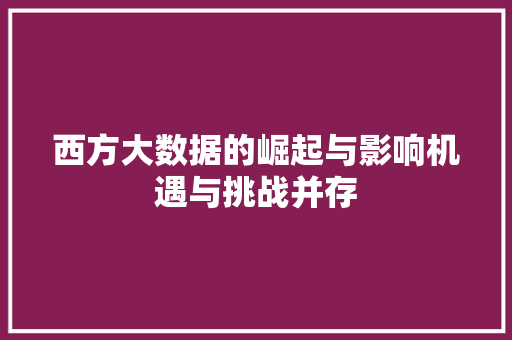 西方大数据的崛起与影响机遇与挑战并存