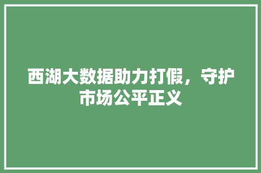 西湖大数据助力打假,守护市场公平正义 西湖大数据助力打假,守护市场公平正义