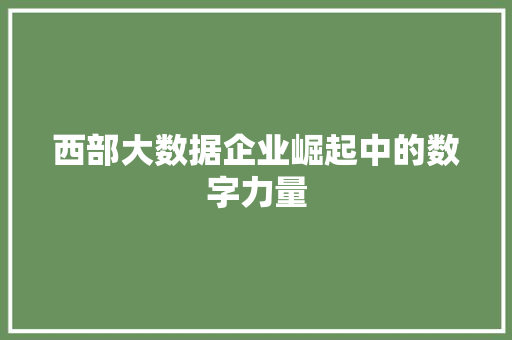 西部大数据企业崛起中的数字力量