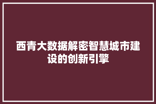 西青大数据解密智慧城市建设的创新引擎