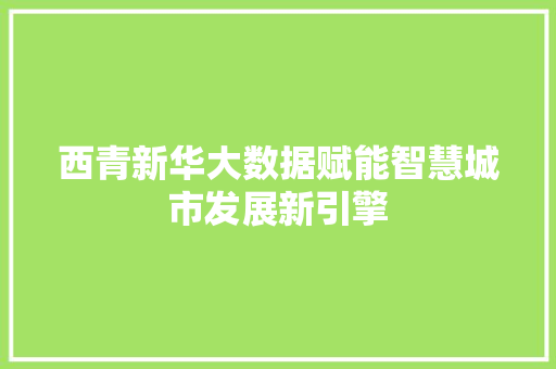 西青新华大数据赋能智慧城市发展新引擎