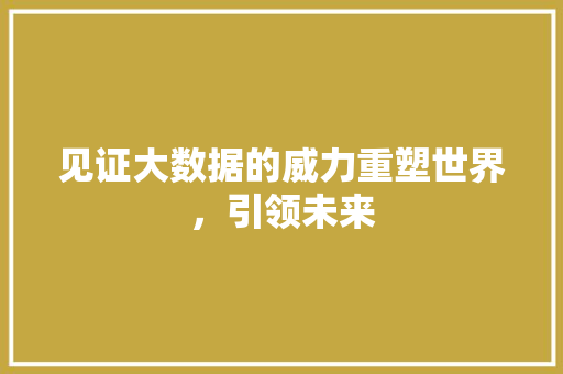 见证大数据的威力重塑世界，引领未来