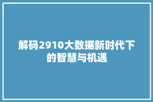 解码2910大数据新时代下的智慧与机遇