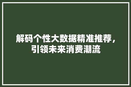 解码个性大数据精准推荐，引领未来消费潮流