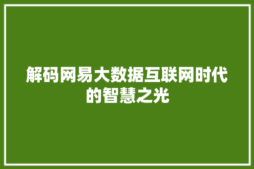 解码网易大数据互联网时代的智慧之光