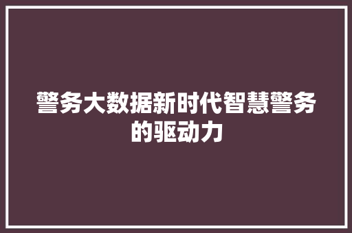 警务大数据新时代智慧警务的驱动力