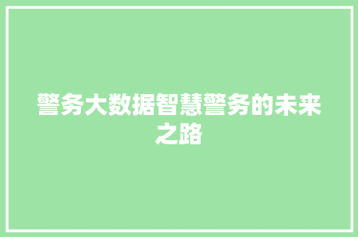 警务大数据智慧警务的未来之路
