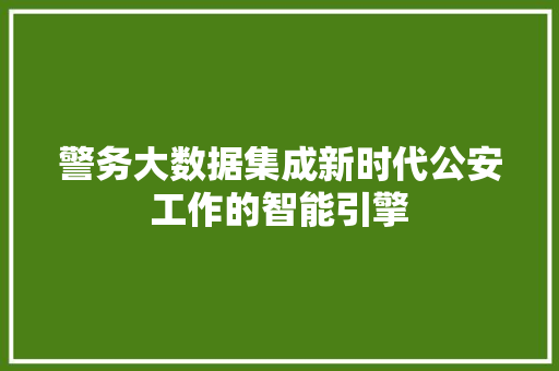 警务大数据集成新时代公安工作的智能引擎 警务大数据集成新时代公安工作的智能引擎