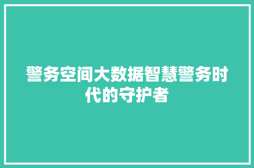 警务空间大数据智慧警务时代的守护者