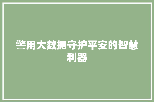 警用大数据守护平安的智慧利器