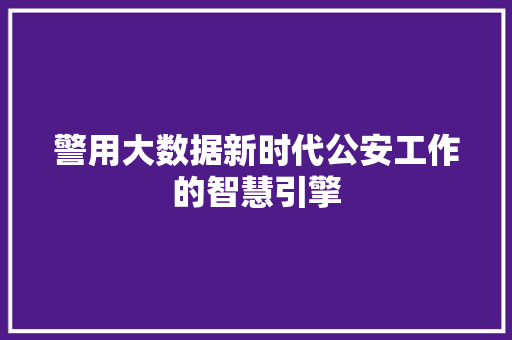 警用大数据新时代公安工作的智慧引擎