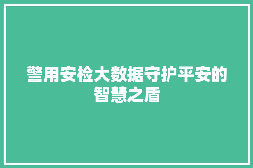警用安检大数据守护平安的智慧之盾