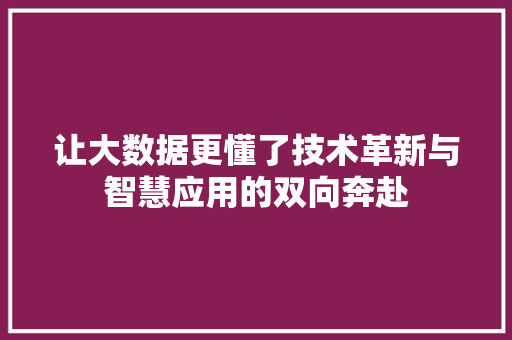 让大数据更懂了技术革新与智慧应用的双向奔赴