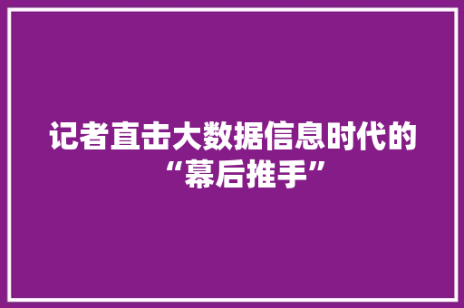 记者直击大数据信息时代的“幕后推手”