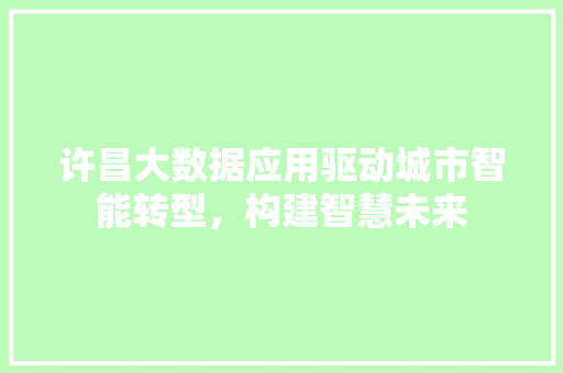 许昌大数据应用驱动城市智能转型，构建智慧未来