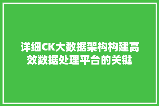 详细CK大数据架构构建高效数据处理平台的关键