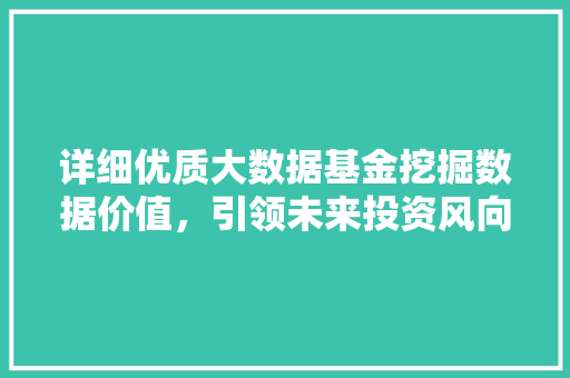 详细优质大数据基金挖掘数据价值，引领未来投资风向标