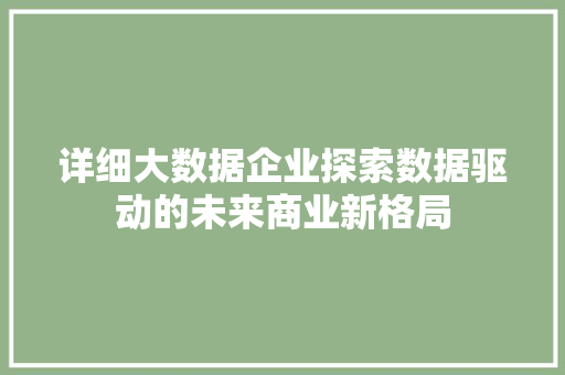 详细大数据企业探索数据驱动的未来商业新格局