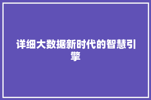 详细大数据新时代的智慧引擎