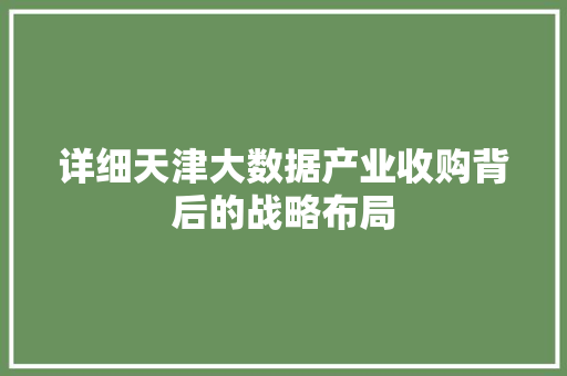 详细天津大数据产业收购背后的战略布局