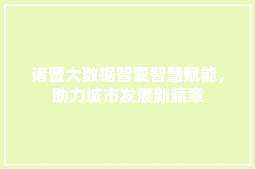 诸暨大数据智囊智慧赋能，助力城市发展新篇章