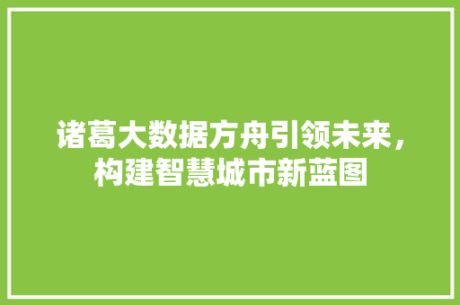 诸葛大数据方舟引领未来，构建智慧城市新蓝图