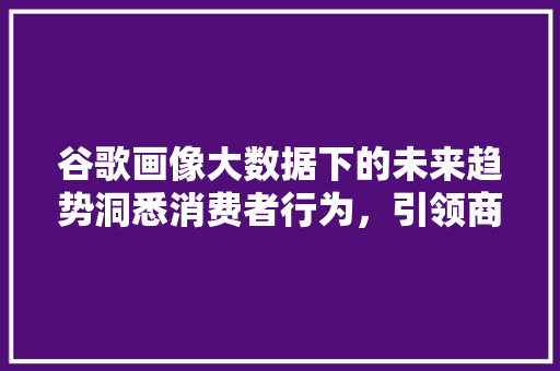 谷歌画像大数据下的未来趋势洞悉消费者行为,引领商业变革 谷歌画像大数据下的未来趋势洞悉消费者行为,引领商业变革