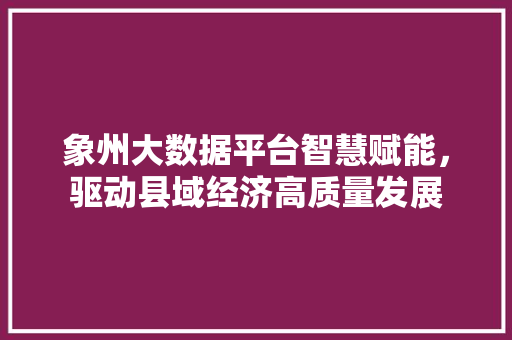 象州大数据平台智慧赋能,驱动县域经济高质量发展 象州大数据平台智慧赋能,驱动县域经济高质量发展
