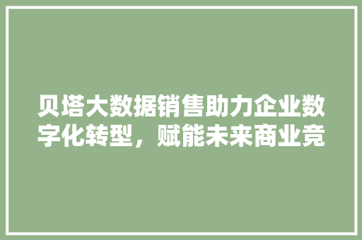 贝塔大数据销售助力企业数字化转型，赋能未来商业竞争