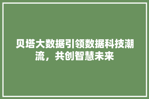 贝塔大数据引领数据科技潮流，共创智慧未来