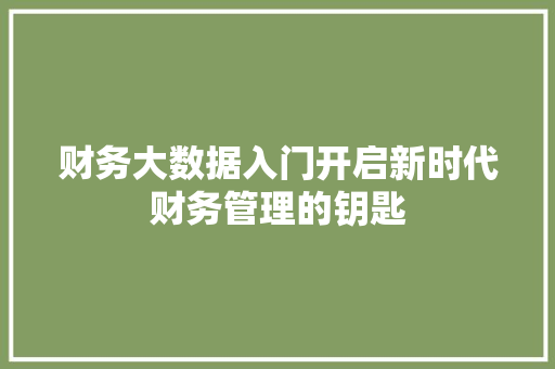 财务大数据入门开启新时代财务管理的钥匙