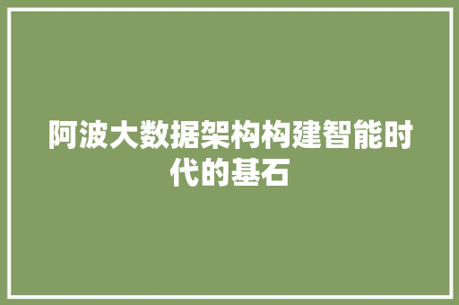 阿波大数据架构构建智能时代的基石