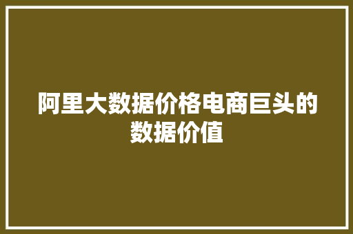 阿里大数据价格电商巨头的数据价值