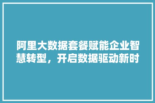 阿里大数据套餐赋能企业智慧转型，开启数据驱动新时代