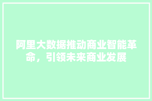 阿里大数据推动商业智能革命，引领未来商业发展 操作系统