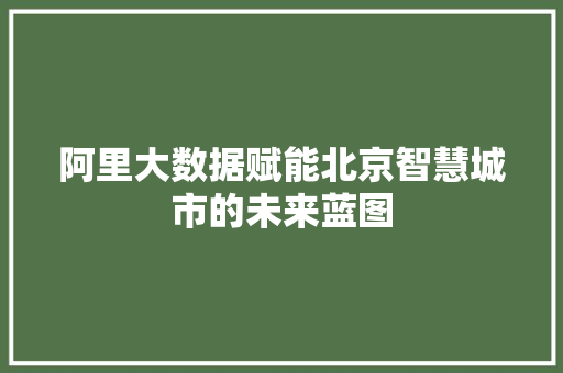 阿里大数据赋能北京智慧城市的未来蓝图