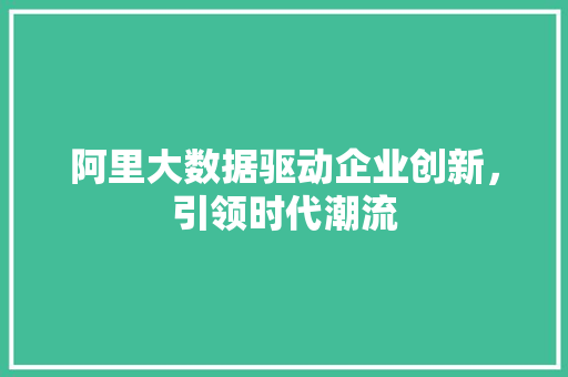 阿里大数据驱动企业创新，引领时代潮流 编程语言