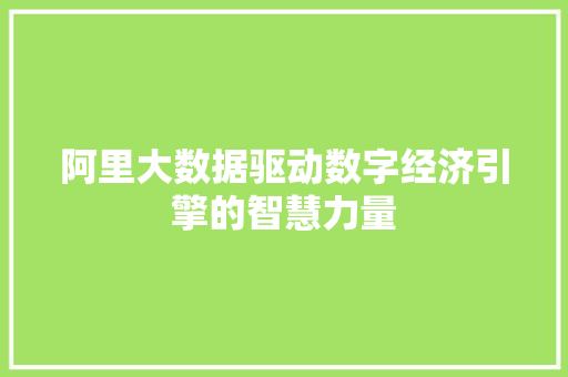 阿里大数据驱动数字经济引擎的智慧力量 电脑配置