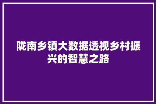 陇南乡镇大数据透视乡村振兴的智慧之路