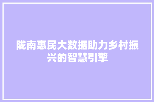陇南惠民大数据助力乡村振兴的智慧引擎