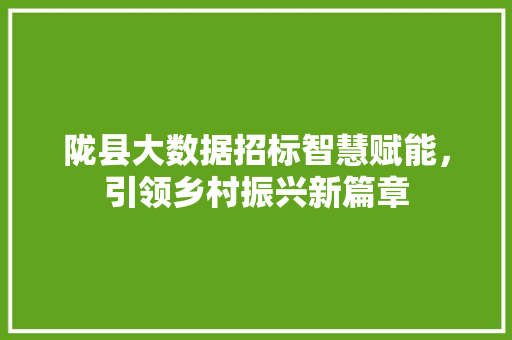 陇县大数据招标智慧赋能，引领乡村振兴新篇章