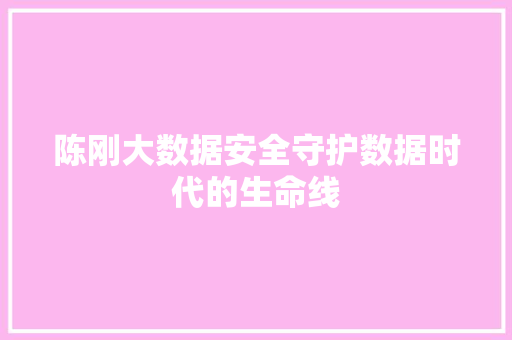 陈刚大数据安全守护数据时代的生命线 陈刚大数据安全守护数据时代的生命线