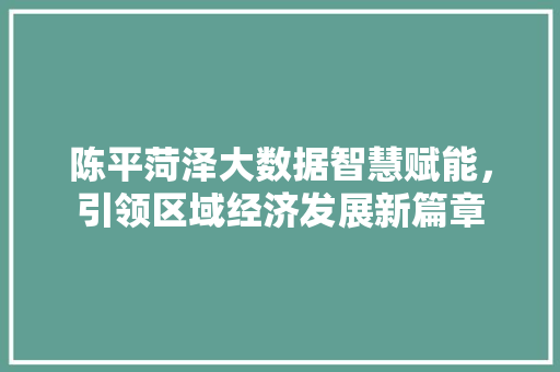 陈平菏泽大数据智慧赋能,引领区域经济发展新篇章 陈平菏泽大数据智慧赋能,引领区域经济发展新篇章
