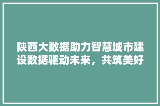 陕西大数据助力智慧城市建设数据驱动未来，共筑美好家园